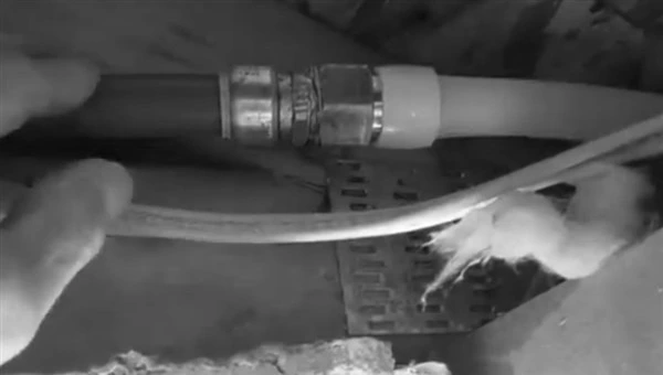 water line replacement