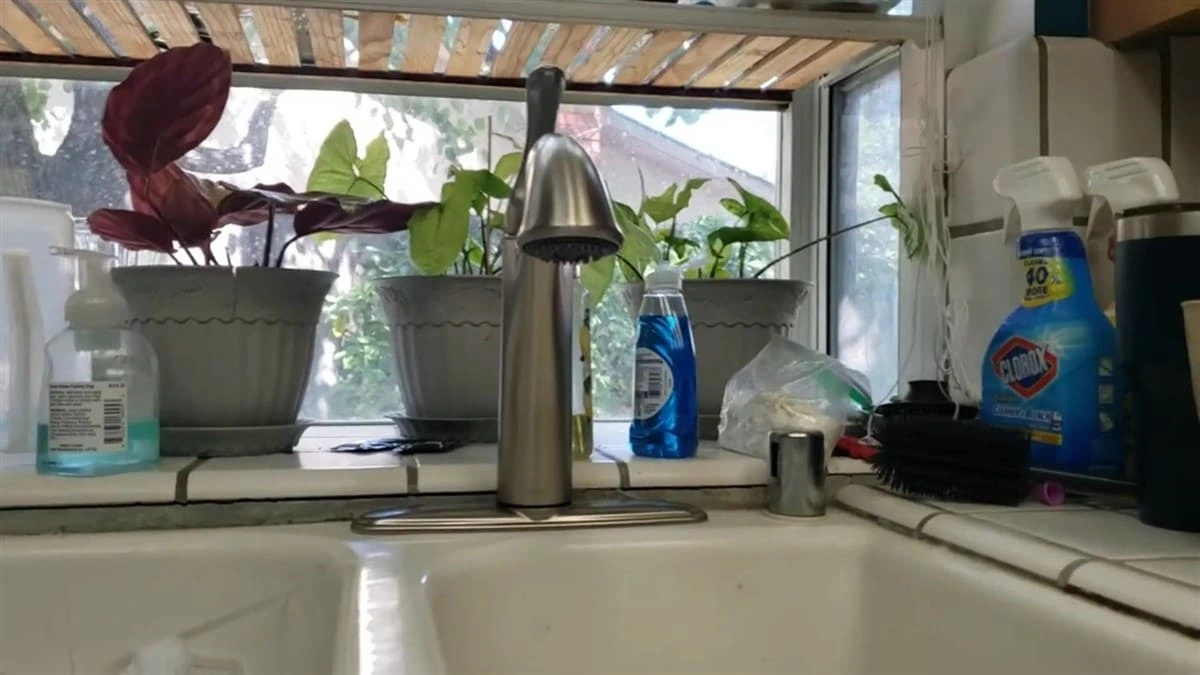 Stainless steel pull-down kitchen faucet installed over a white double-basin sink, with potted plants and cleaning supplies on a tiled windowsill in a Clovis home.
